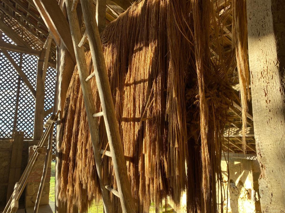 La Maison De Manon Mirande (Gers) Exterior foto